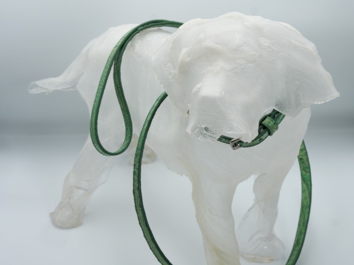 HYDE PARK COCCO JENNY DOG LEAD WASABI