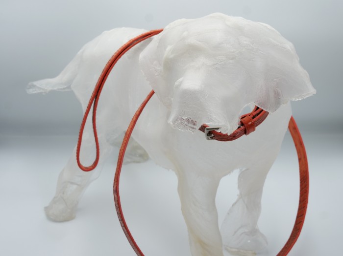 HYDE PARK COCCO JENNY DOG LEAD TANGERINE