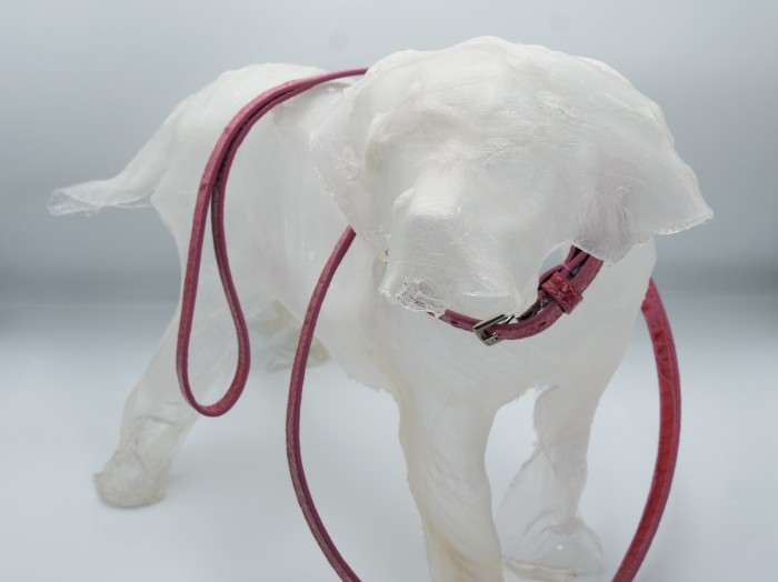 HYDE PARK COCCO JENNY DOG LEAD FLASHDANCE PINK